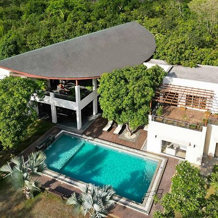The Leaf By Stayvista - An Enchanting Escape Offering A Pool, Terrace, Lush Lawn, Contemporary Interiors, And Indoor Games Alībāg Zewnętrze zdjęcie